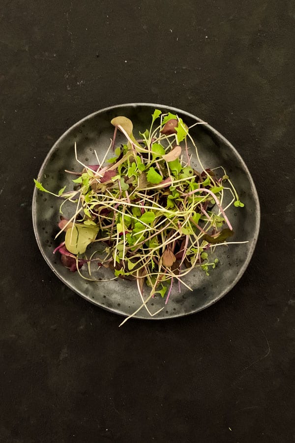 Micro Salad