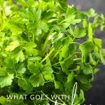 What Goes Well with Parsley