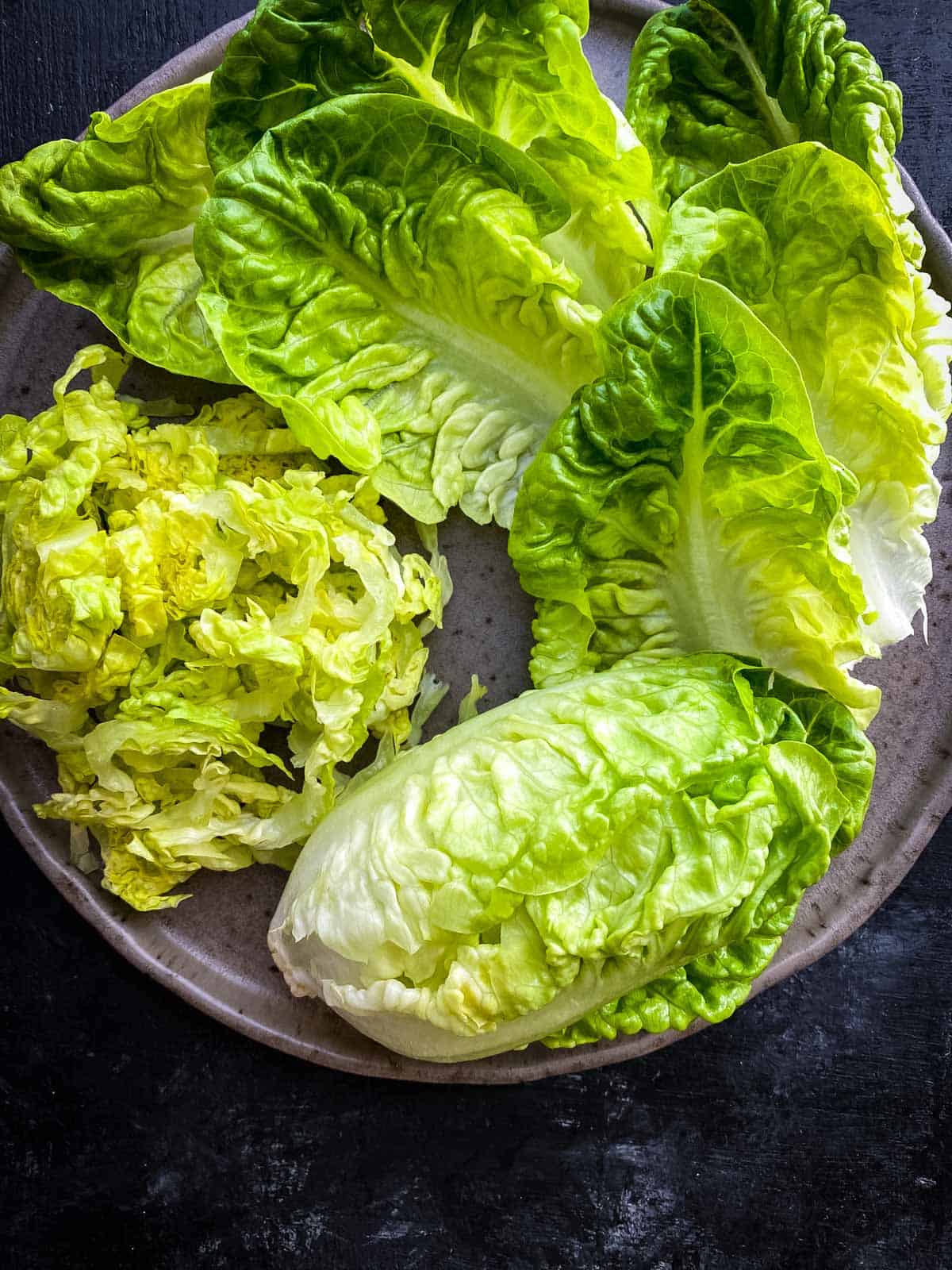 Cos lettuce whole, leaves and sliced