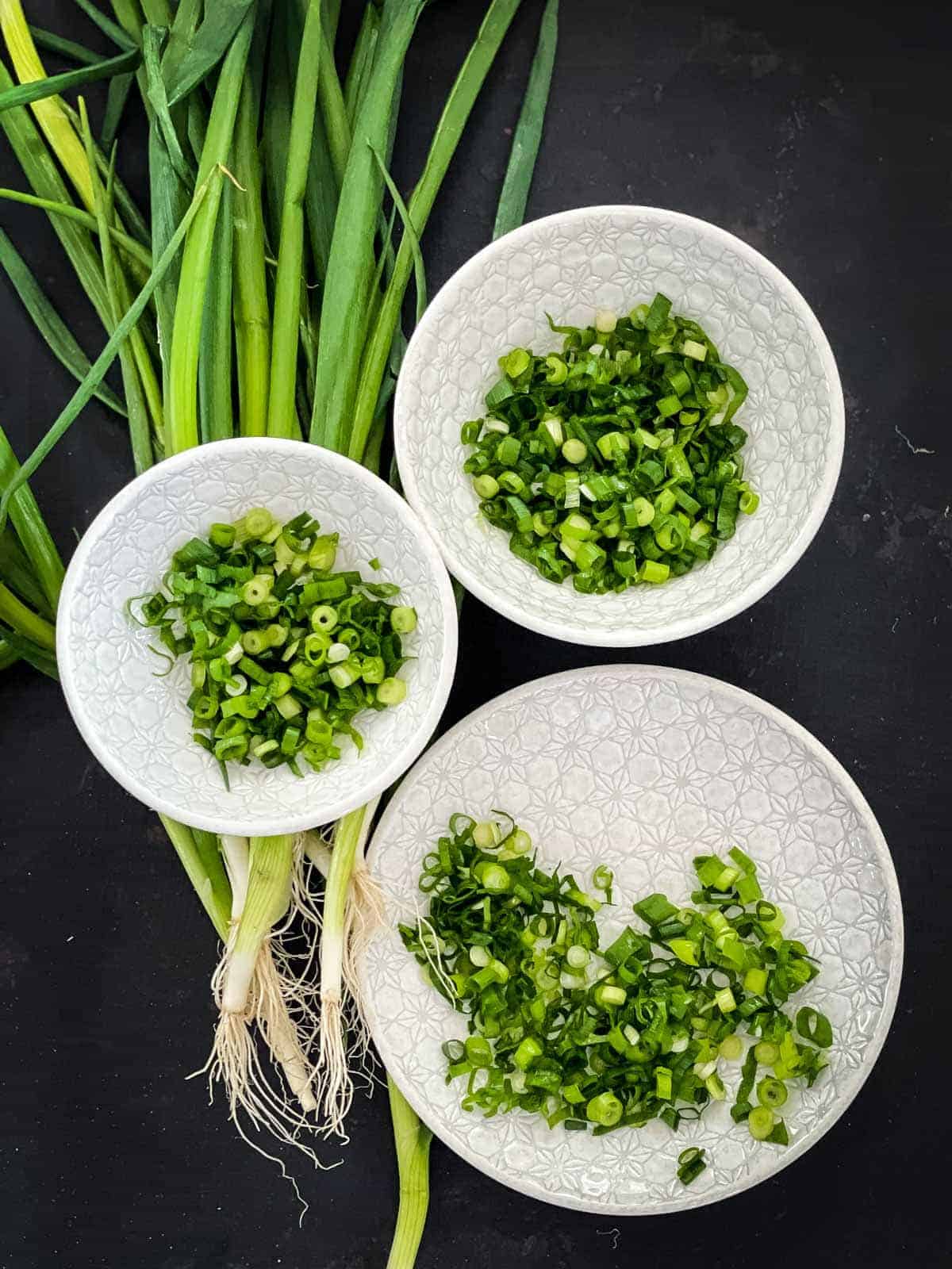 Chopped scallions served in a variety of bowls and plates