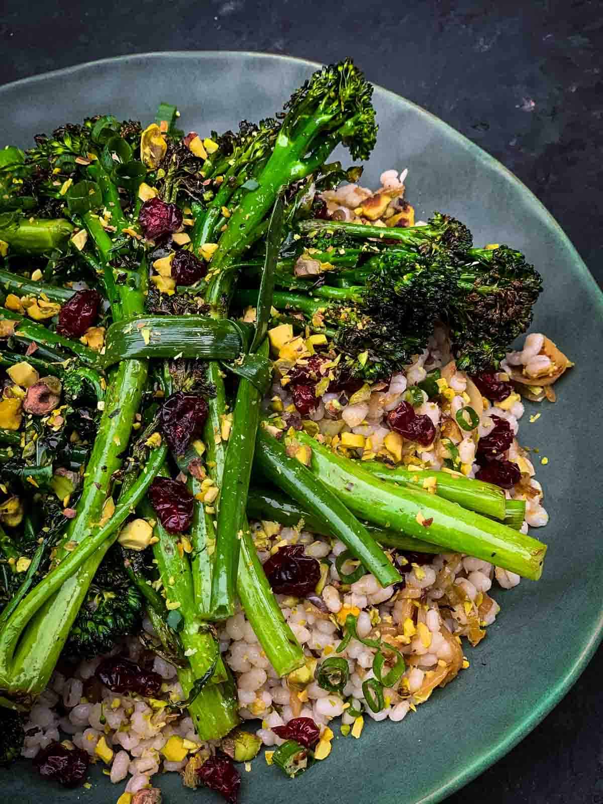 Grilled-Broccolini-Salad-Barley on a green plate