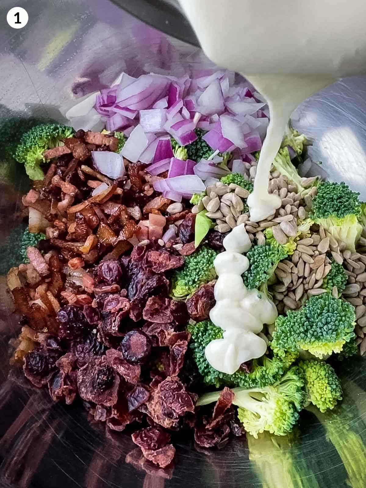 Broccoli, bacon, seeds, dried cranberries and onions in a mixing bowl