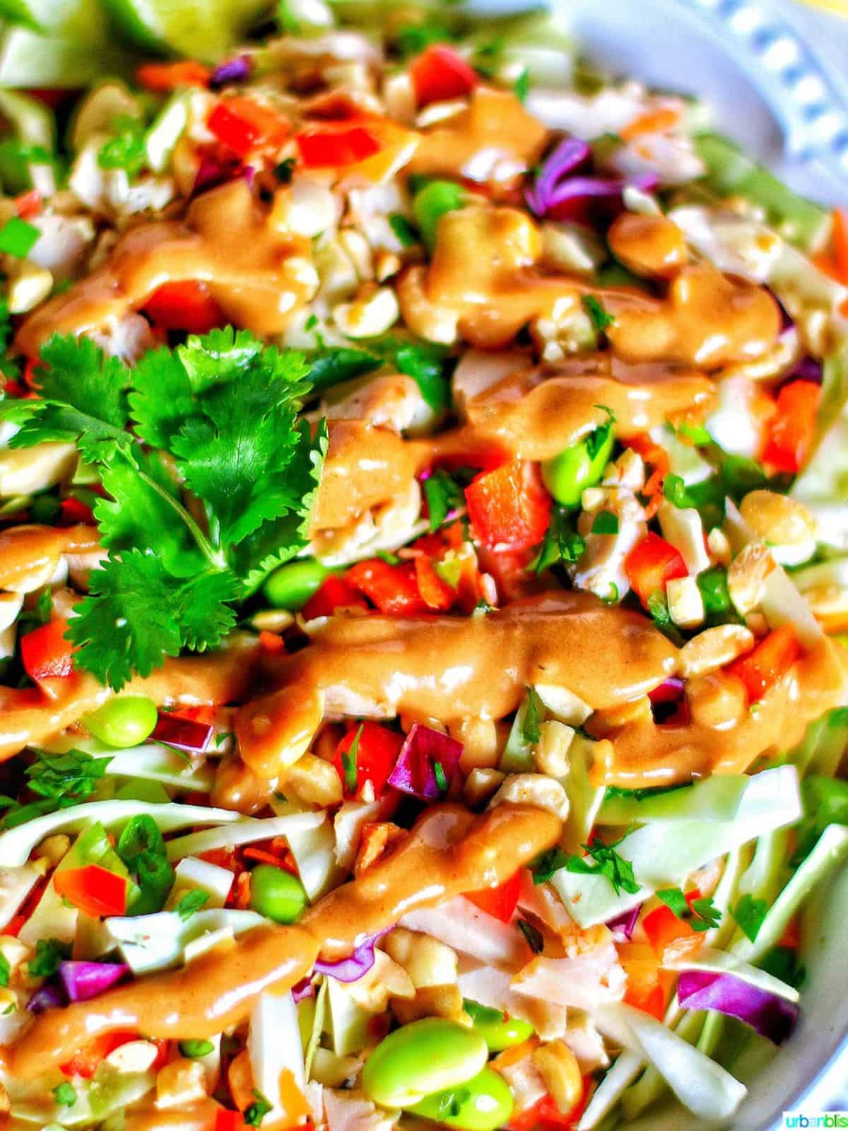 Close up of Thai chicken salad