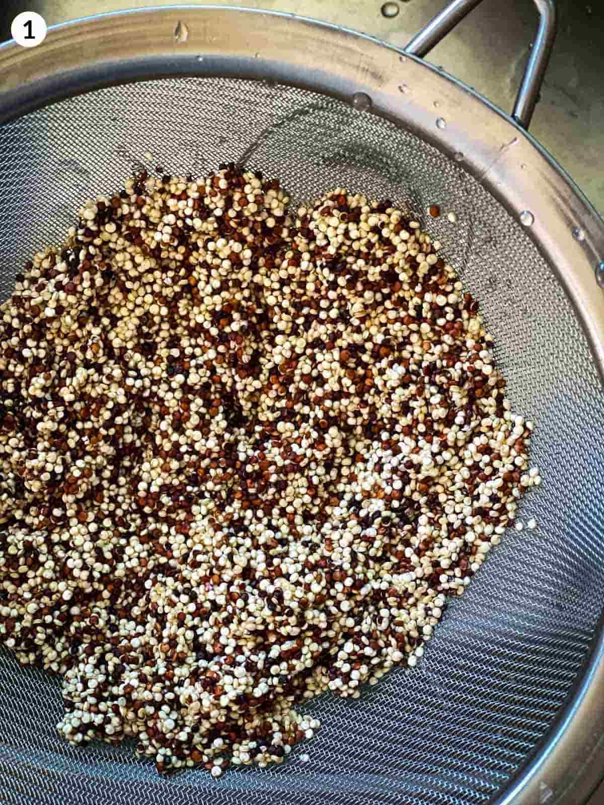 rinsed tricolour quinoa in a large metal sieve