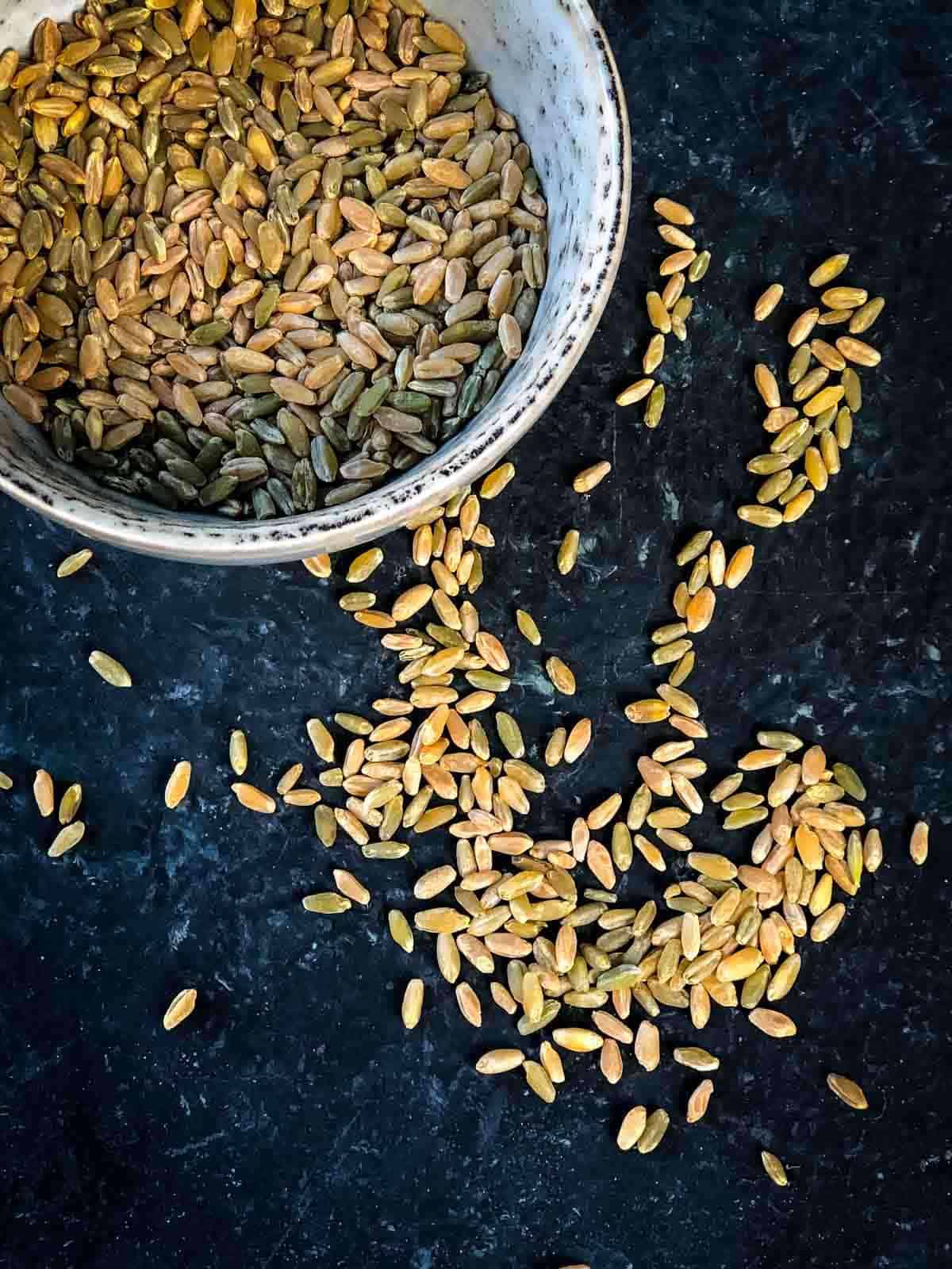 raw freekeh scattered on a black background with a small bowl filled with freekeh in top left hand corner.