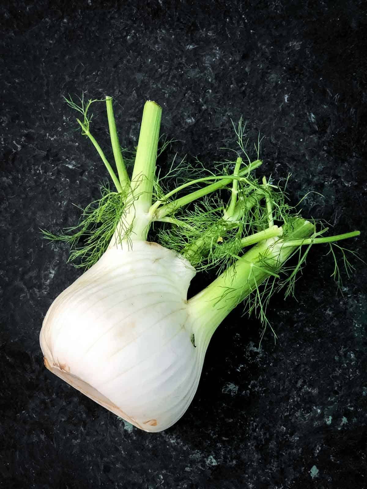whole fennel bulb on a black background