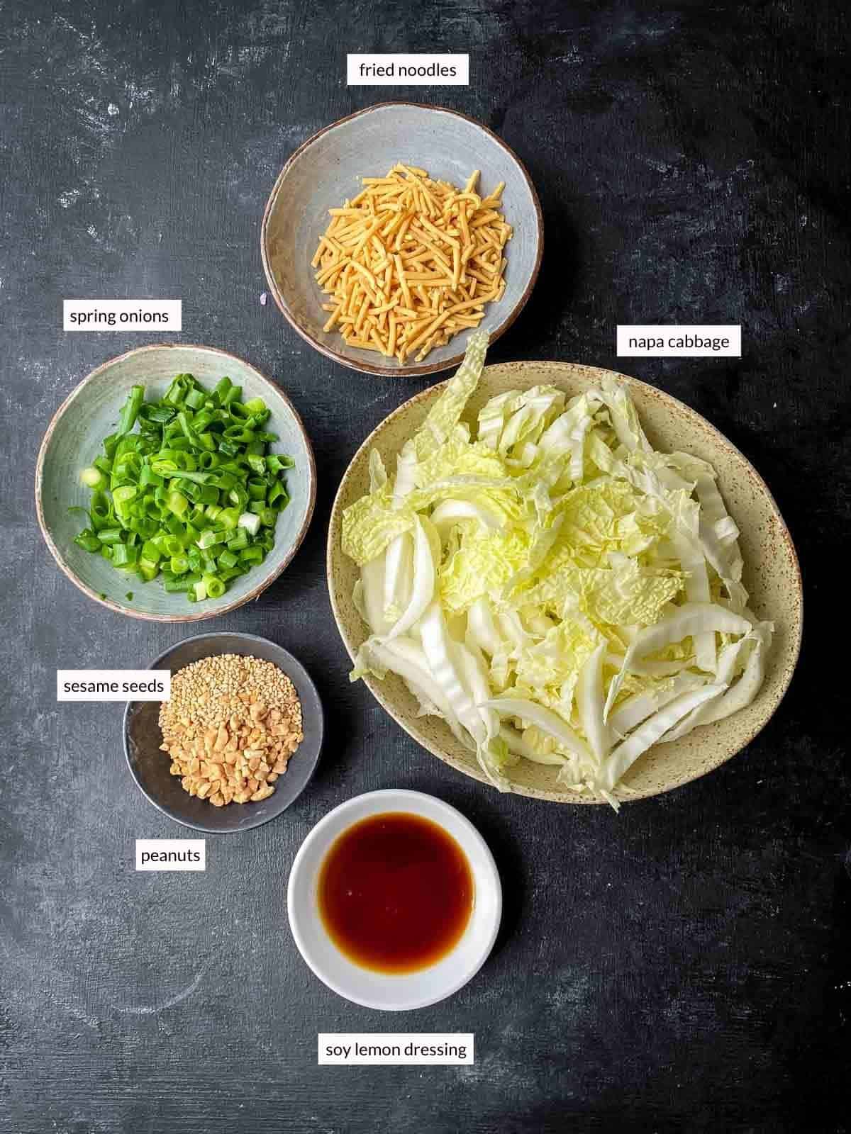 noodle salad ingredients from top to bottom: fried noodles, spring onions, napa cabbage, sesame seeds, peanuts and dressing