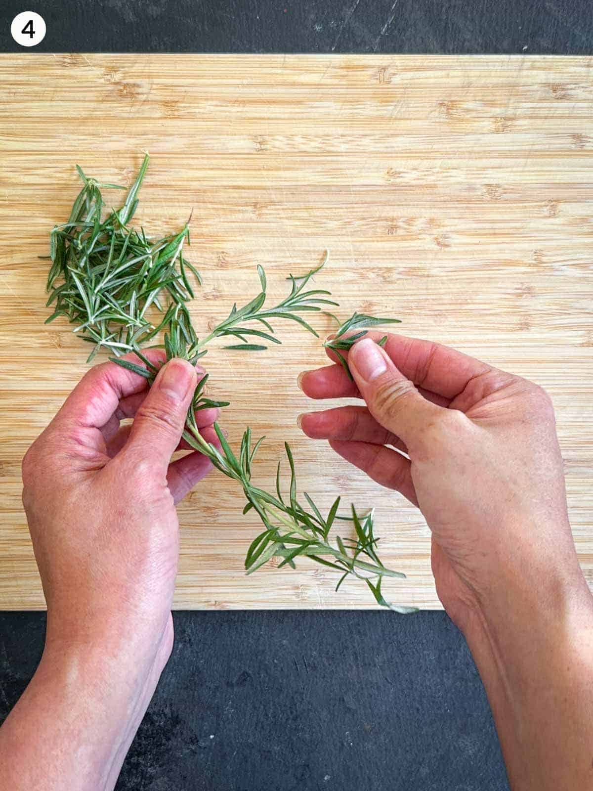 Picking the leaves off rosemary stems