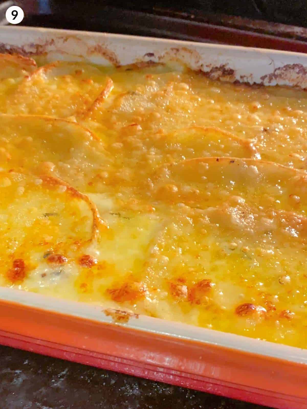 Bubbling cheese on potatoes au gratin in a baking dish